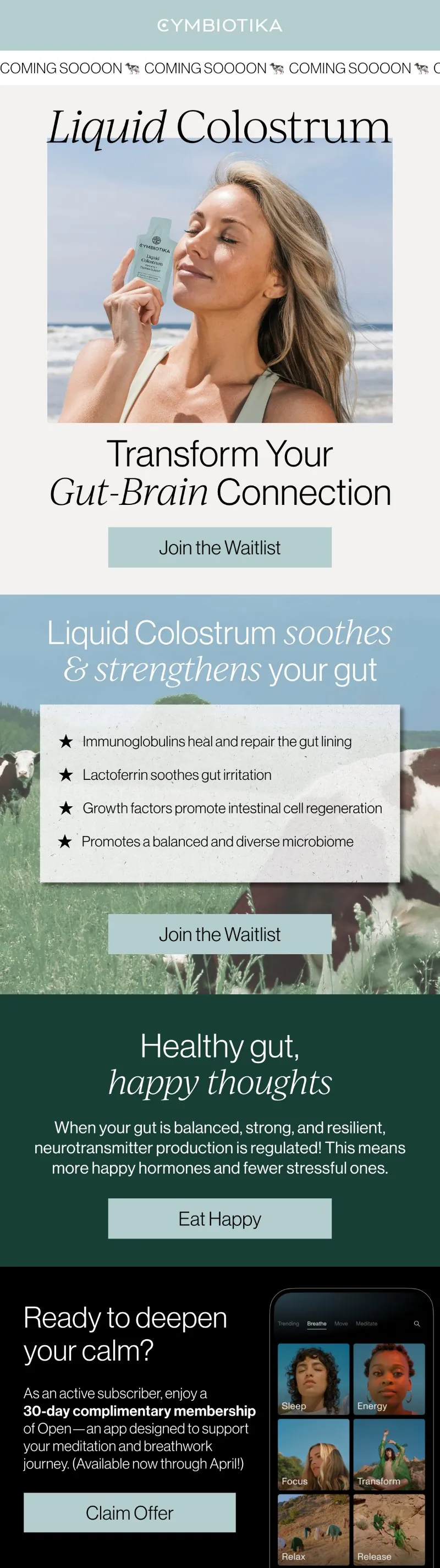 Email: Transform your gut-brain connection