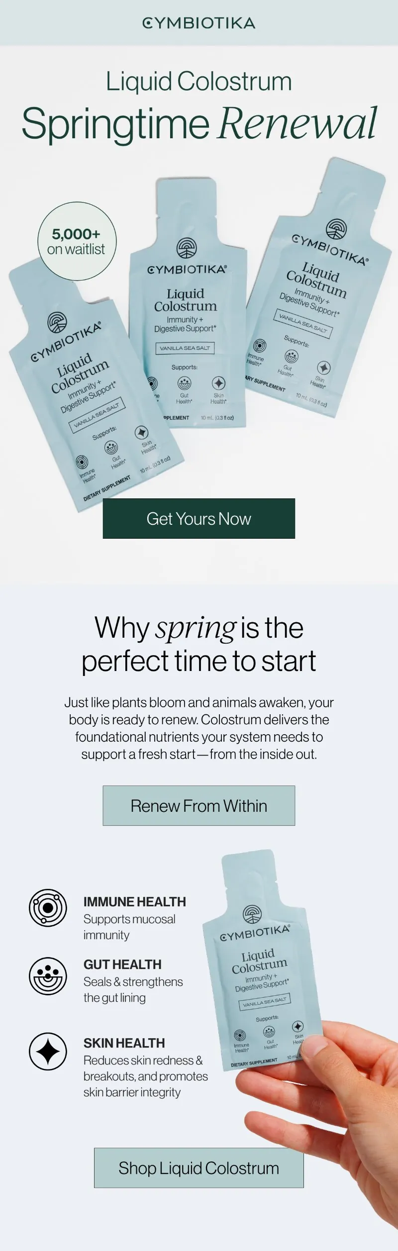 Email: Springtime renewal