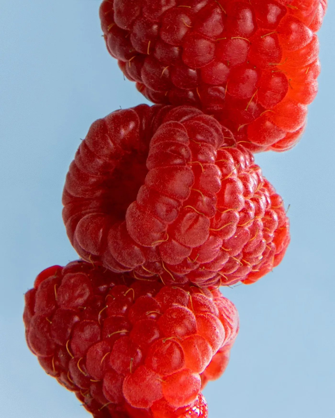 Raspberries